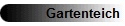 Gartenteich
