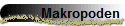 Makropoden