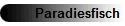 Paradiesfisch