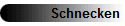 Schnecken