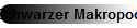 Schwarzer Makropode