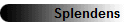 Splendens